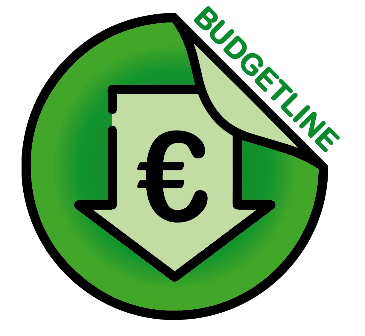 PP Acryl Noise - budget - 48 mm. x 66 meter - transparant