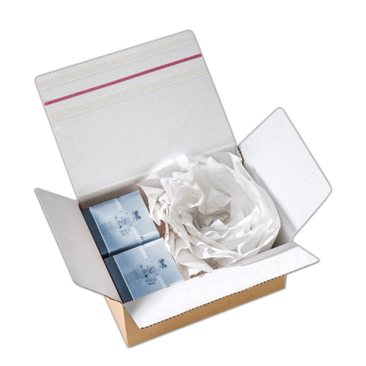 Bruinpapier rollen  100 g/m² - 050 cm breed